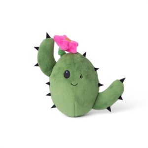 Bark consuela the cactus met bloem pluche groen