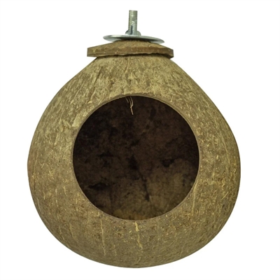 Back zoo nature coconut house