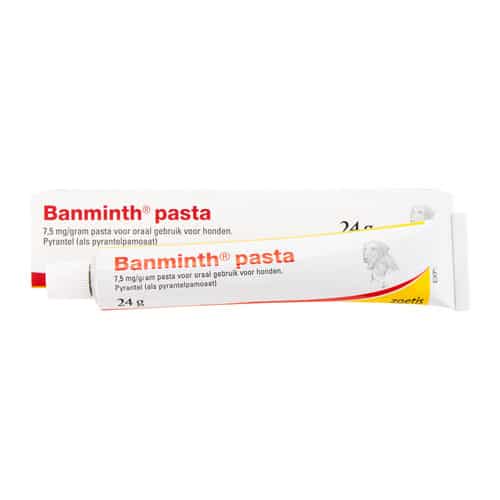 Banminth Pasta Hond