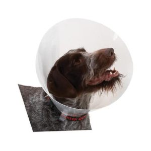 Buster Transparant Classic Collar