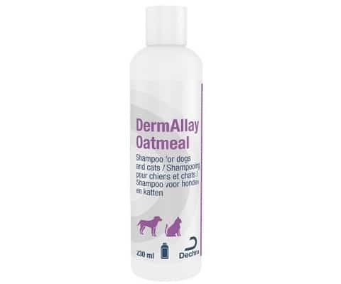 DermAllay Oatmeal Shampoo