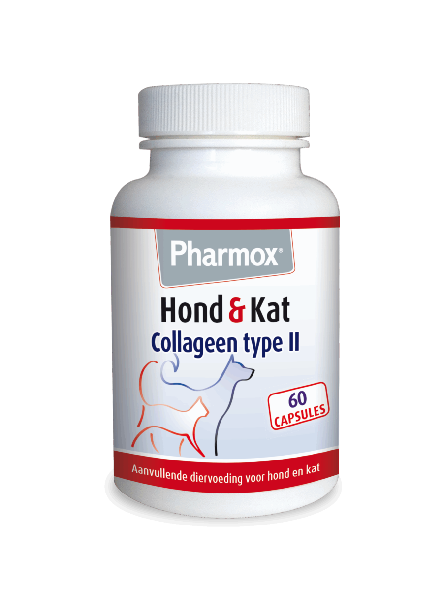 Pharmox Collageen Type II Hond & Kat