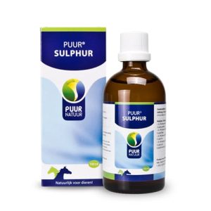 Puur Sulphur Paard