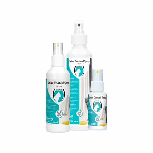 Excellent Urine Control – Kat & Kitten