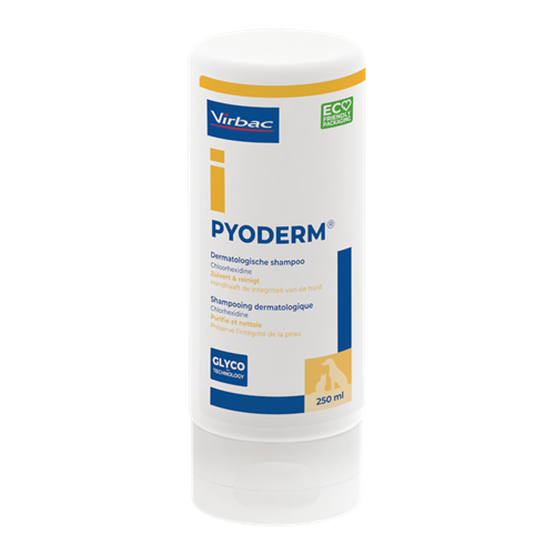 Pyoderm Shampoo